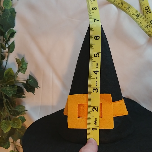 Pet Costume. Size Small. Like New. - Picture 8 of 9